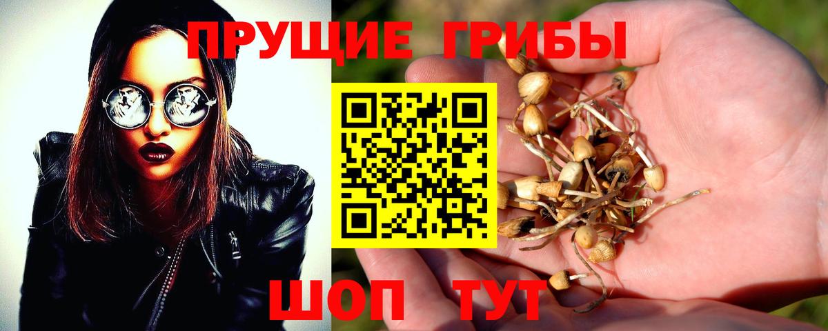 наркошоп  Псилоцибиновые грибы Cubensis  Магнитогорск  Вход с VPN  Псилоцибиновые грибы ЛСД 